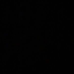 Meet your Posher, Claire